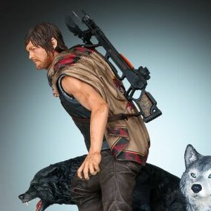 Daryl Dixon And Wolves