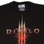 Diablo 3: Face (studio)