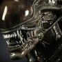Alien Big Chap (Sideshow)