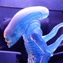 Alien Warrior Blue