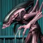 Alien Chrysalis