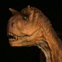 Paleontology World Museum: Carnotaurus Female Brown