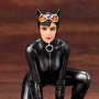 Catwoman Mad Lovers