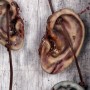 Daryl Dixon's Ear Necklace