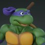 Donatello (Pop Culture Shock)