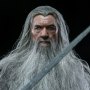 Gandalf Deluxe (Grey Wizard)