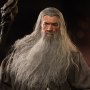 Gandalf Deluxe (Grey Wizard)