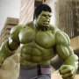 Hulk Deluxe Set
