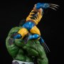 Hulk Vs. Wolverine