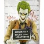 DC Comics: Joker Mugshot