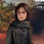 Star Wars-Rogue One: Jyn Erso Seal Commander