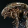 Alien: Mythos Alien Warrior