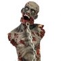 Walking Dead: Pet Zombie 2 kasička