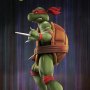 Teenage Mutant Ninja Turtles: Raphael