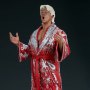 WWE Wrestling: Ric Flair