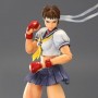 Super Street Fighter 4: Sakura