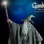 Lord Of The Rings 1: Gandalf The Grey