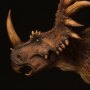Paleontology World Museum: Styracosaurus Brown