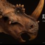 Styracosaurus Brown
