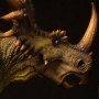 Styracosaurus Green