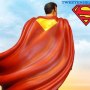 Superman (Tweeterhead)