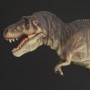 Master Fossil: Tyrannosaurus Rex