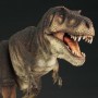 Tyrannosaurus Rex (studio)