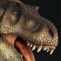Tyrannosaurus Rex (studio)