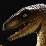 Velociraptor Open Mouth