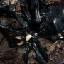 Venom Dark Origin