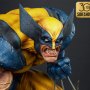 Wolverine Berserker Rage