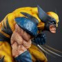 Wolverine Berserker Rage