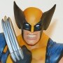 Wolverine kasička