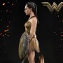 Wonder Woman Training Costume