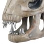 Xenomorph Skull