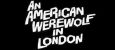 American Werewolf In London