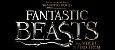 Fantastic Beasts