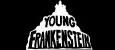 Young Frankenstein