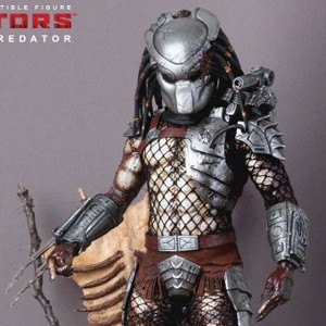 Classic Predator (studio)