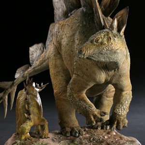 Stegosaurus (studio)