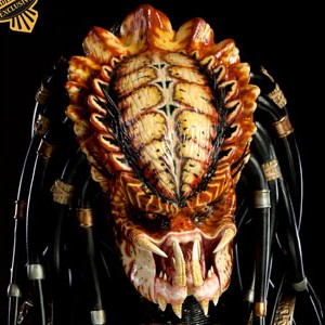 Predator (Sideshow) (studio)