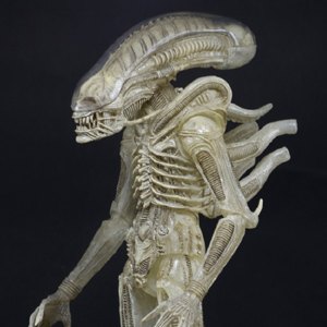 Alien Big Chap Concept