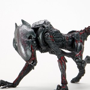 Alien Night Cougar Ultimate