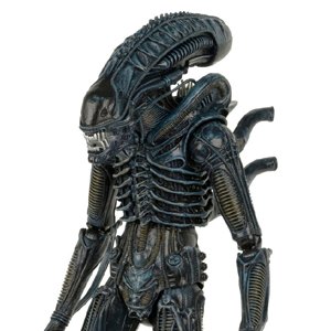 Alien Warrior