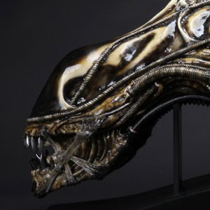 Alien Warrior Head