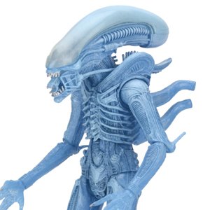 Alien Warrior Blue