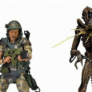 Hudson Vs. Battle Damaged Brown Warrior