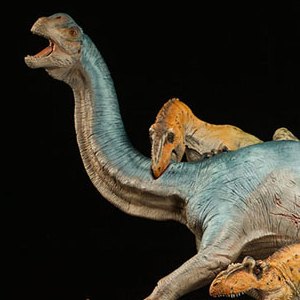 Allosaurus Vs. Camarasaurus