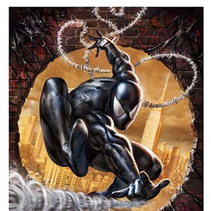 Amazing Spider-Man #300 Tribute Art Print (Ian MacDonald & Todd McFarlane)
