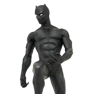 Black Panther Premier Collection